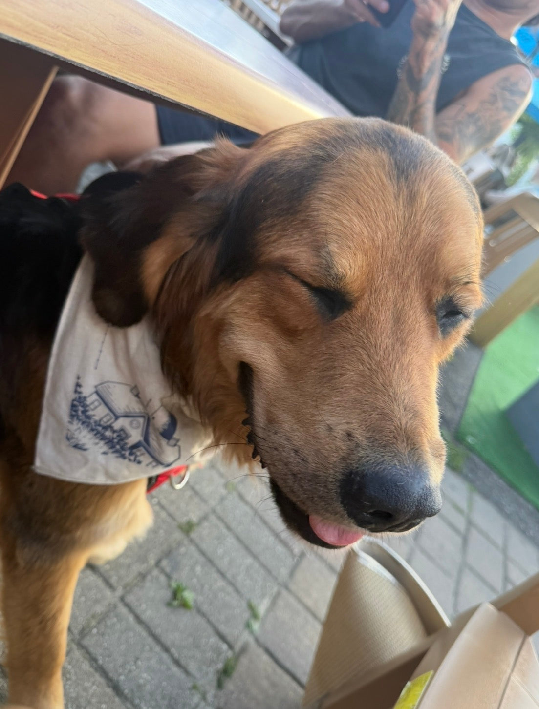 MMT Bandana