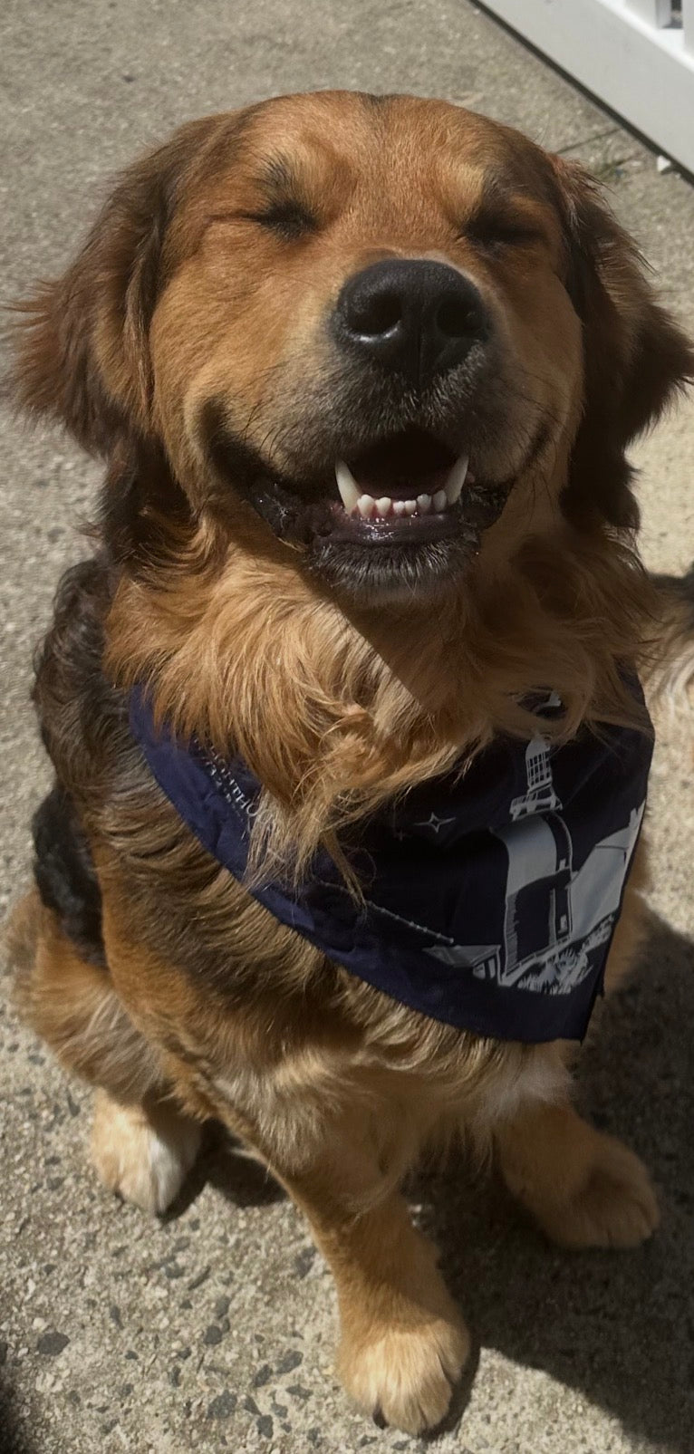 MMT Bandana