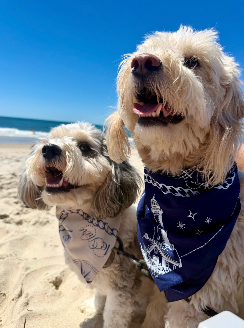 MMT Bandana