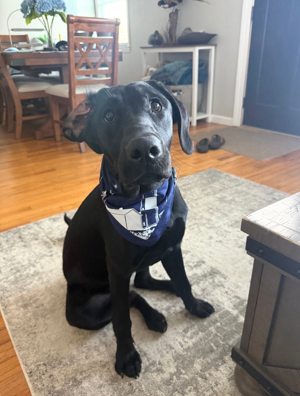 MMT Bandana