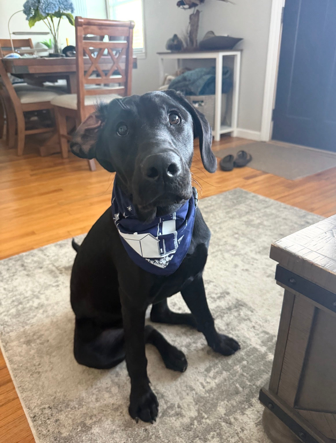 MMT Bandana